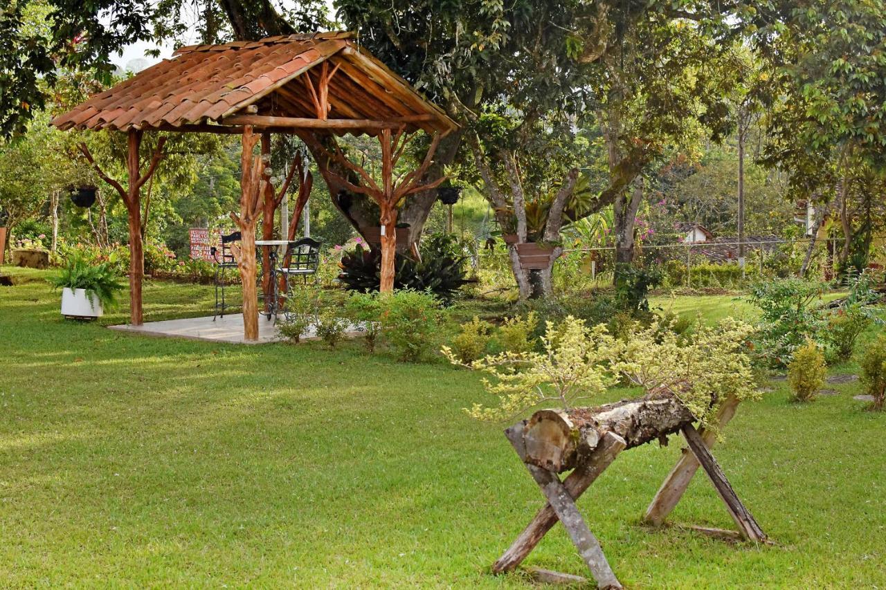 Hotel Yalconia San Agustín Dış mekan fotoğraf