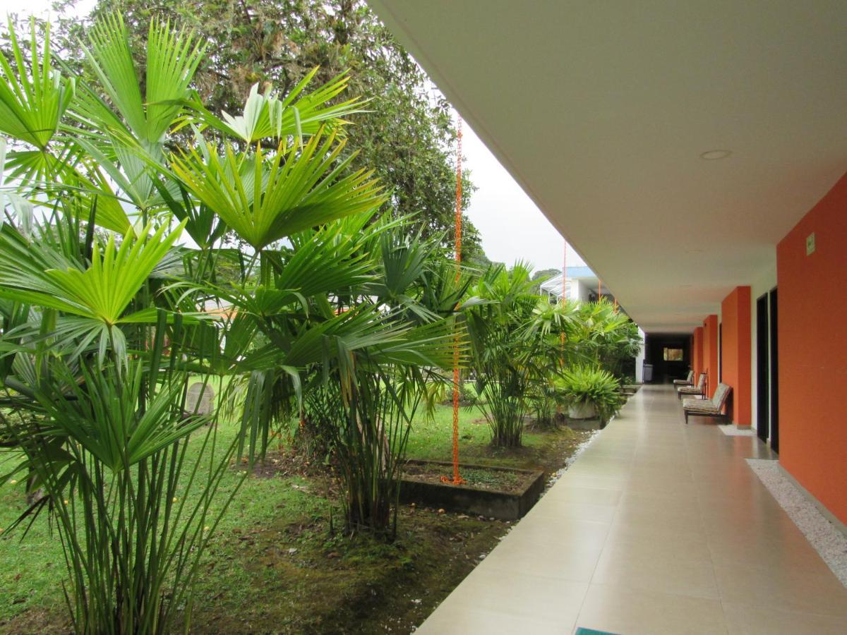 Hotel Yalconia San Agustín Dış mekan fotoğraf